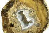 Petrified Wood Limb Round with Chalcedony - Indonesia #271366-1